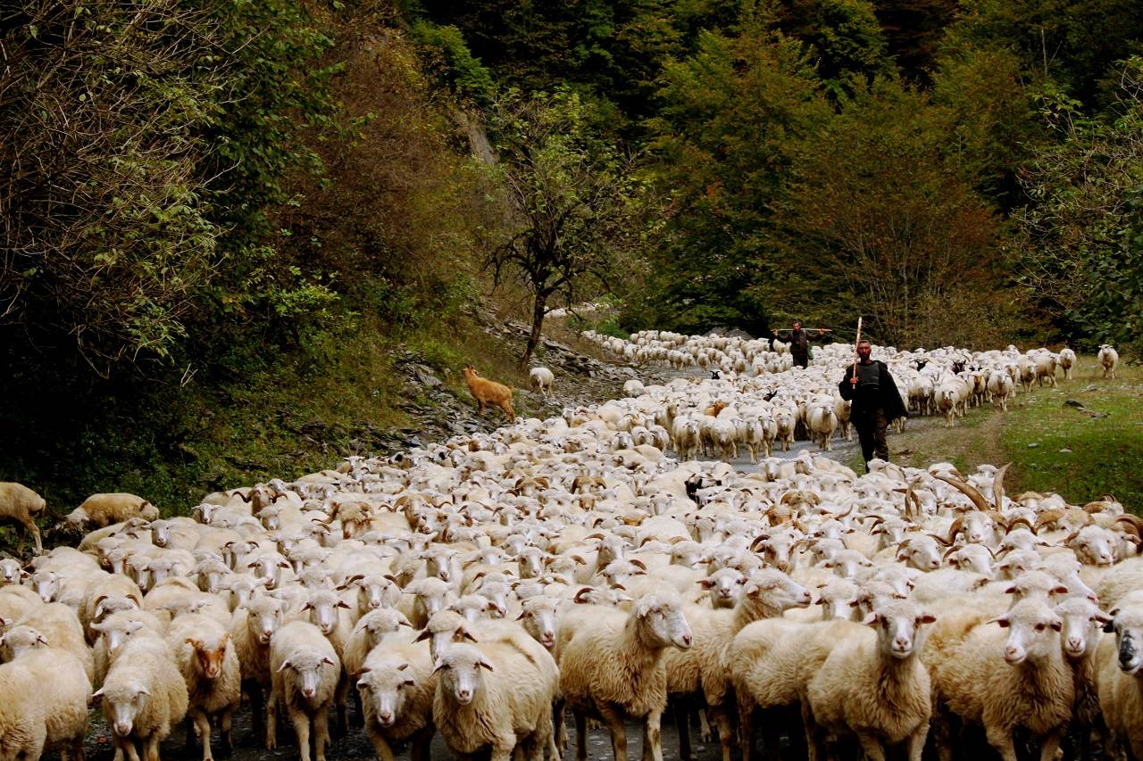 Tusheti & Khevsureti Trek