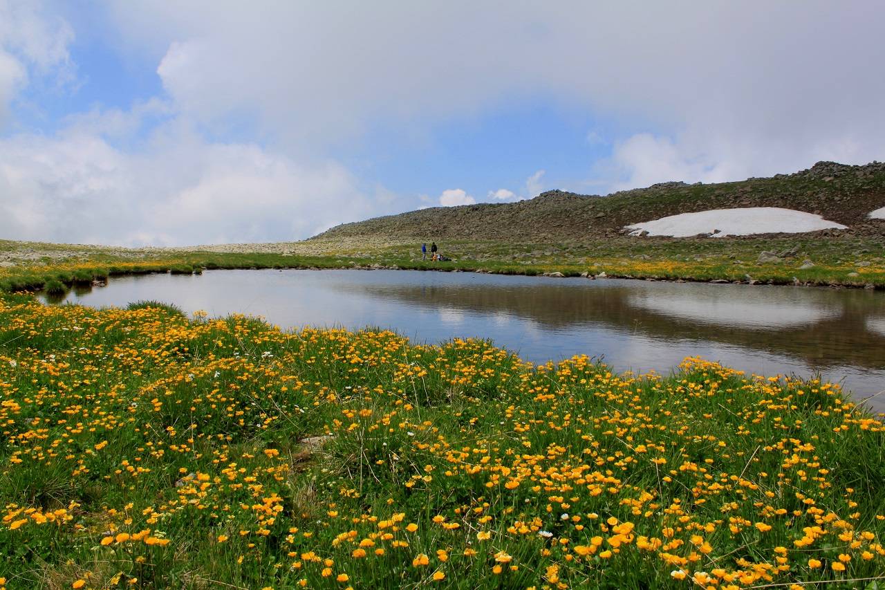 Abuli-Samsari Trek