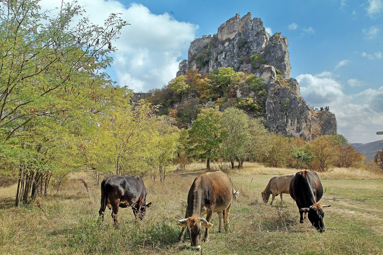 Vashlovani 4WD & Hiking Tour